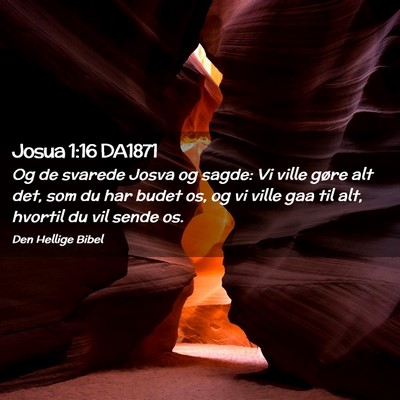 Picture 02 - Josua 1:16 DA1871 - Og de svarede Josva og sagde: Vi ville gøre alt - Bible Verse Picture