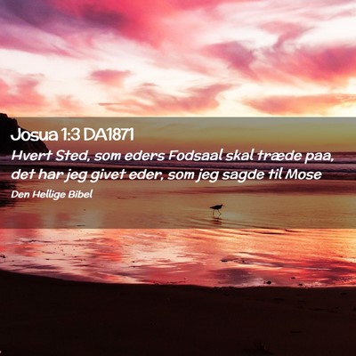 Picture 02 - Josua 1:3 DA1871 - Hvert Sted, som eders Fodsaal skal træde paa, - Bible Verse Picture