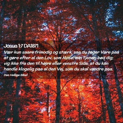 Picture 02 - Josua 1:7 DA1871 - Vær kun saare frimodig og stærk, saa du tager - Bible Verse Picture