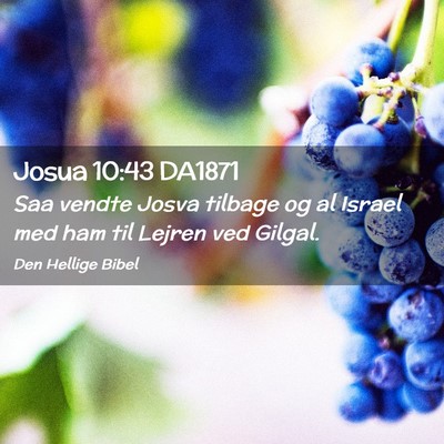 Picture 02 - Josua 10:43 DA1871 - Saa vendte Josva tilbage og al Israel med ham til - Bible Verse Picture