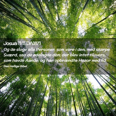 Picture 02 - Josua 11:11 DA1871 - Og de sloge alle Personer, som vare i den, med - Bible Verse Picture