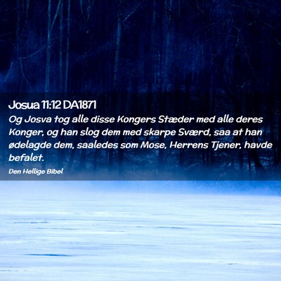 Picture 02 - Josua 11:12 DA1871 - Og Josva tog alle disse Kongers Stæder med alle - Bible Verse Picture