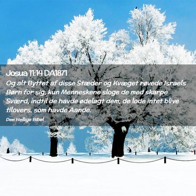 Picture 02 - Josua 11:14 DA1871 - Og alt Byttet af disse Stæder og Kvæget røvede - Bible Verse Picture