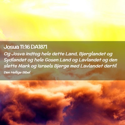 Picture 02 - Josua 11:16 DA1871 - Og Josva indtog hele dette Land, Bjerglandet og - Bible Verse Picture