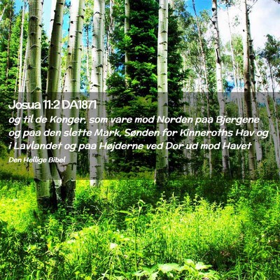 Picture 02 - Josua 11:2 DA1871 - og til de Konger, som vare mod Norden paa - Bible Verse Picture
