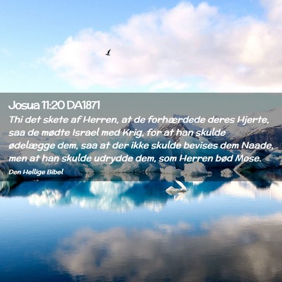 Picture 02 - Josua 11:20 DA1871 - Thi det skete af Herren, at de forhærdede deres - Bible Verse Picture