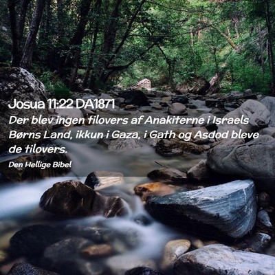 Picture 02 - Josua 11:22 DA1871 - Der blev ingen tilovers af Anakiterne i Israels - Bible Verse Picture