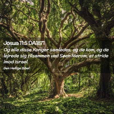 Picture 02 - Josua 11:5 DA1871 - Og alle disse Konger samledes, og de kom, og de - Bible Verse Picture