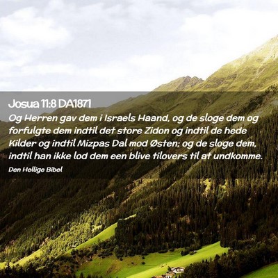 Picture 02 - Josua 11:8 DA1871 - Og Herren gav dem i Israels Haand, og de sloge - Bible Verse Picture