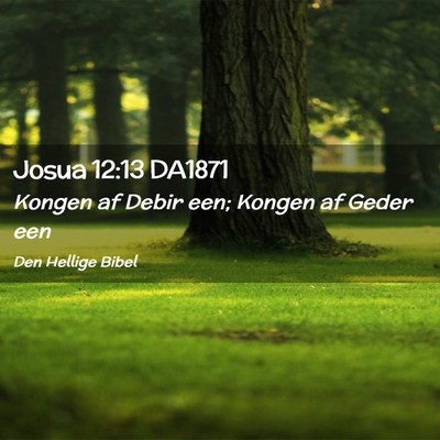 Picture 02 - Josua 12:13 DA1871 - Kongen af Debir een; Kongen af Geder - Bible Verse Picture