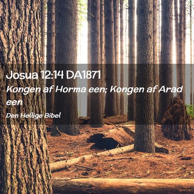 Picture 02 - Josua 12:14 DA1871 - Kongen af Horma een; Kongen af Arad - Bible Verse Picture