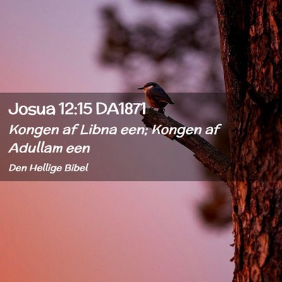 Picture 02 - Josua 12:15 DA1871 - Kongen af Libna een; Kongen af Adullam - Bible Verse Picture