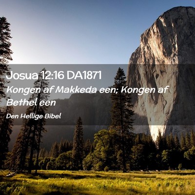 Picture 02 - Josua 12:16 DA1871 - Kongen af Makkeda een; Kongen af Bethel - Bible Verse Picture