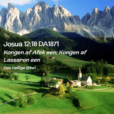 Picture 02 - Josua 12:18 DA1871 - Kongen af Afek een; Kongen af Lassaron - Bible Verse Picture