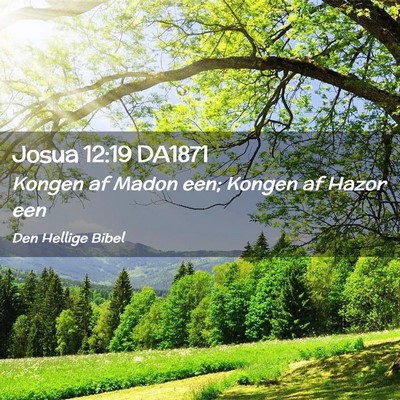 Picture 02 - Josua 12:19 DA1871 - Kongen af Madon een; Kongen af Hazor - Bible Verse Picture