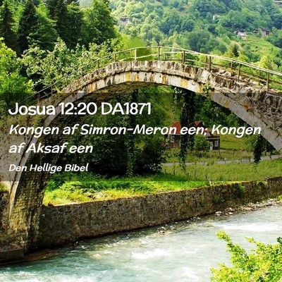 Picture 02 - Josua 12:20 DA1871 - Kongen af Simron-Meron een; Kongen af Aksaf - Bible Verse Picture