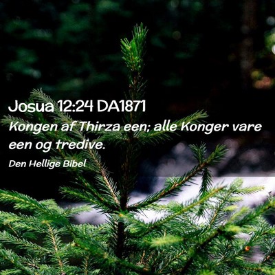 Picture 02 - Josua 12:24 DA1871 - Kongen af Thirza een; alle Konger vare een og - Bible Verse Picture