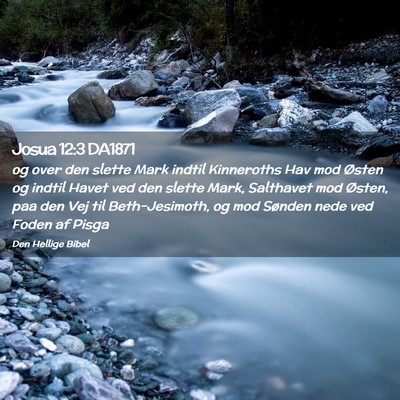 Picture 02 - Josua 12:3 DA1871 - og over den slette Mark indtil Kinneroths Hav mod - Bible Verse Picture