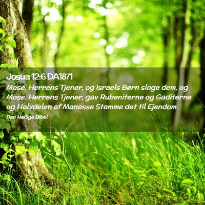 Picture 02 - Josua 12:6 DA1871 - Mose, Herrens Tjener, og Israels Børn sloge dem, - Bible Verse Picture