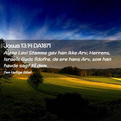 Picture 02 - Josua 13:14 DA1871 - Alene Levi Stamme gav han ikke Arv; Herrens, - Bible Verse Picture