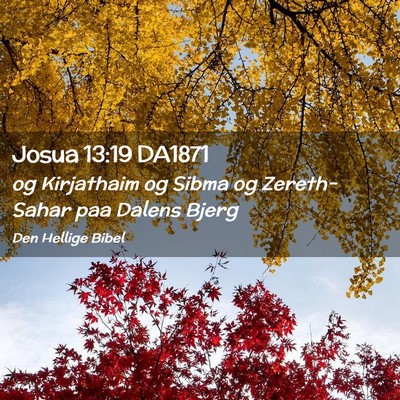 Picture 02 - Josua 13:19 DA1871 - og Kirjathaim og Sibma og Zereth-Sahar paa Dalens - Bible Verse Picture