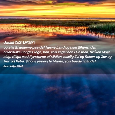 Picture 02 - Josua 13:21 DA1871 - og alle Stæderne paa det jævne Land og hele - Bible Verse Picture