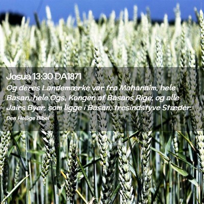 Picture 02 - Josua 13:30 DA1871 - Og deres Landemærke var fra Mahanaim, hele - Bible Verse Picture