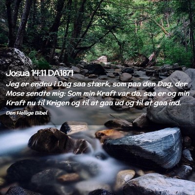 Picture 02 - Josua 14:11 DA1871 - Jeg er endnu i Dag saa stærk, som paa den Dag, - Bible Verse Picture