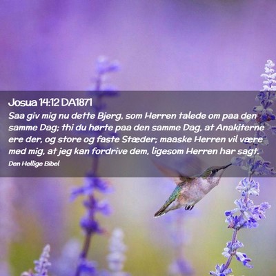 Picture 02 - Josua 14:12 DA1871 - Saa giv mig nu dette Bjerg, som Herren talede om - Bible Verse Picture