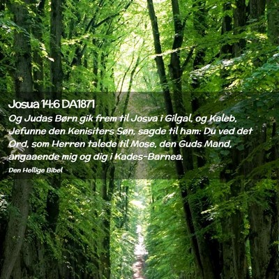 Picture 02 - Josua 14:6 DA1871 - Og Judas Børn gik frem til Josva i Gilgal, og - Bible Verse Picture