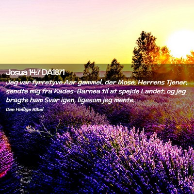 Picture 02 - Josua 14:7 DA1871 - Jeg var fyrretyve Aar gammel, der Mose, Herrens - Bible Verse Picture