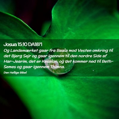 Picture 02 - Josua 15:10 DA1871 - Og Landemærket gaar fra Baala mod Vesten omkring - Bible Verse Picture