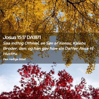 Picture 02 - Josua 15:17 DA1871 - Saa indtog Othniel, en Søn af Kenas, Kalebs - Bible Verse Picture