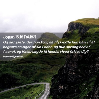 Picture 02 - Josua 15:18 DA1871 - Og det skete, der hun kom, da tilskyndte hun ham - Bible Verse Picture