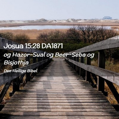 Picture 02 - Josua 15:28 DA1871 - og Hazor-Sual og Beer-Seba og - Bible Verse Picture
