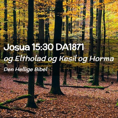 Picture 02 - Josua 15:30 DA1871 - og Eltholad og Kesil og - Bible Verse Picture