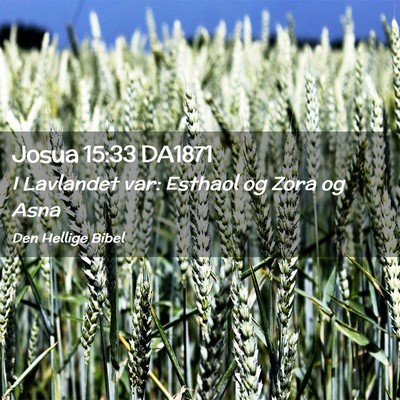 Picture 02 - Josua 15:33 DA1871 - I Lavlandet var: Esthaol og Zora og - Bible Verse Picture