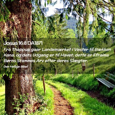 Picture 02 - Josua 16:8 DA1871 - Fra Thappua gaar Landemærket i Vester til - Bible Verse Picture