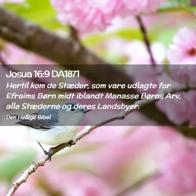 Picture 02 - Josua 16:9 DA1871 - Hertil kom de Stæder, som vare udlagte for - Bible Verse Picture