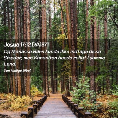 Picture 02 - Josua 17:12 DA1871 - Og Manasse Børn kunde ikke indtage disse - Bible Verse Picture