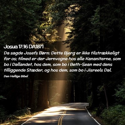 Picture 02 - Josua 17:16 DA1871 - Da sagde Josefs Børn: Dette Bjerg er ikke - Bible Verse Picture