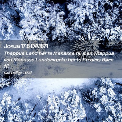 Picture 02 - Josua 17:8 DA1871 - Thappua Land hørte Manasse til; men Thappua ved - Bible Verse Picture