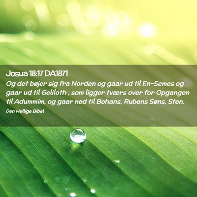 Picture 02 - Josua 18:17 DA1871 - Og det bøjer sig fra Norden og gaar ud til - Bible Verse Picture