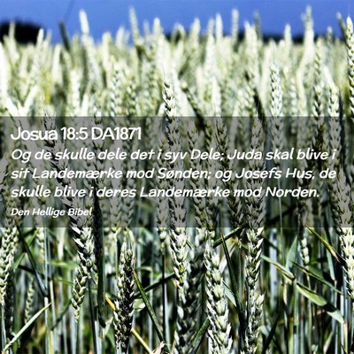 Picture 02 - Josua 18:5 DA1871 - Og de skulle dele det i syv Dele; Juda skal blive - Bible Verse Picture