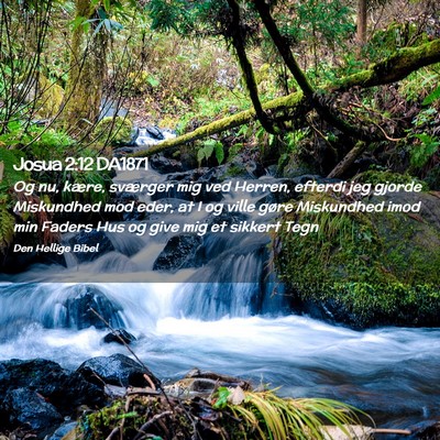 Picture 02 - Josua 2:12 DA1871 - Og nu, kære, sværger mig ved Herren, efterdi - Bible Verse Picture