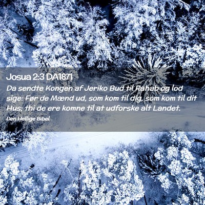 Picture 02 - Josua 2:3 DA1871 - Da sendte Kongen af Jeriko Bud til Rahab og lod - Bible Verse Picture