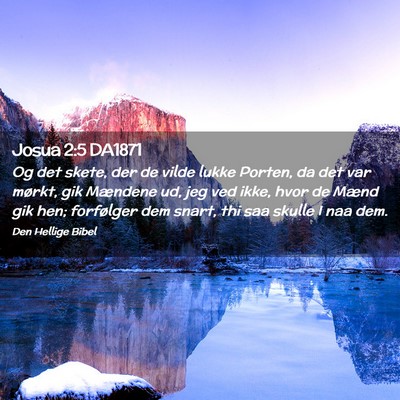 Picture 02 - Josua 2:5 DA1871 - Og det skete, der de vilde lukke Porten, da det - Bible Verse Picture