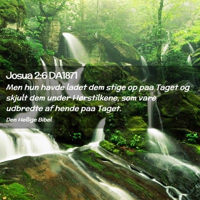 Picture 02 - Josua 2:6 DA1871 - Men hun havde ladet dem stige op paa Taget og - Bible Verse Picture
