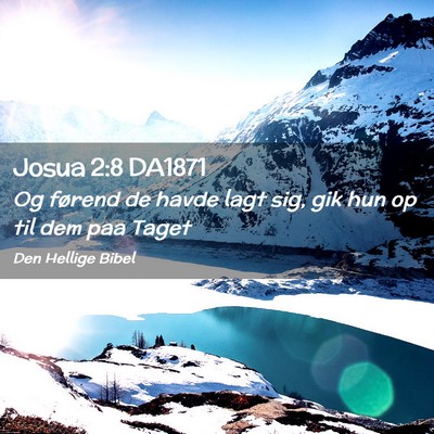 Picture 02 - Josua 2:8 DA1871 - Og førend de havde lagt sig, gik hun op til dem - Bible Verse Picture