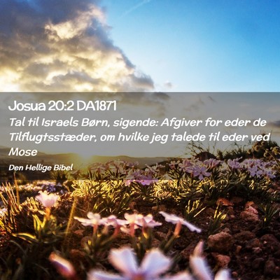 Picture 02 - Josua 20:2 DA1871 - Tal til Israels Børn, sigende: Afgiver for eder - Bible Verse Picture
